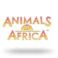 Animals Of Africa