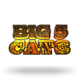 Big 5 Cats