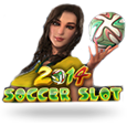 2014 Soccer Slot
