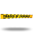 Traces Of Evidence